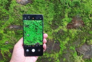 Huawei P30 camera review