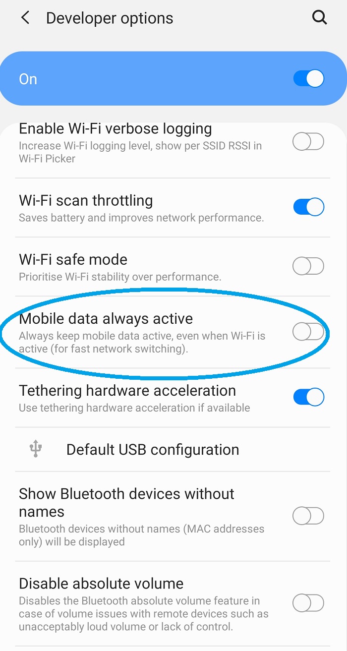 Mobile data always active developer options