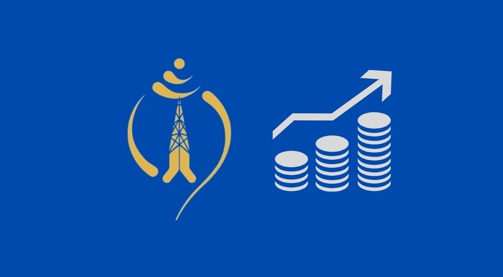 Nepal Telecom revenue profit