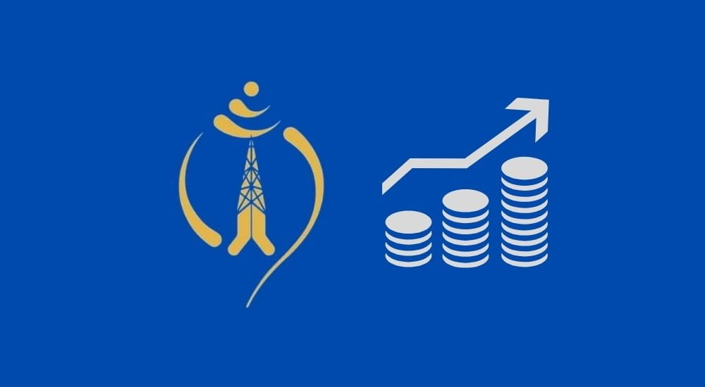 Nepal Telecom revenue profit