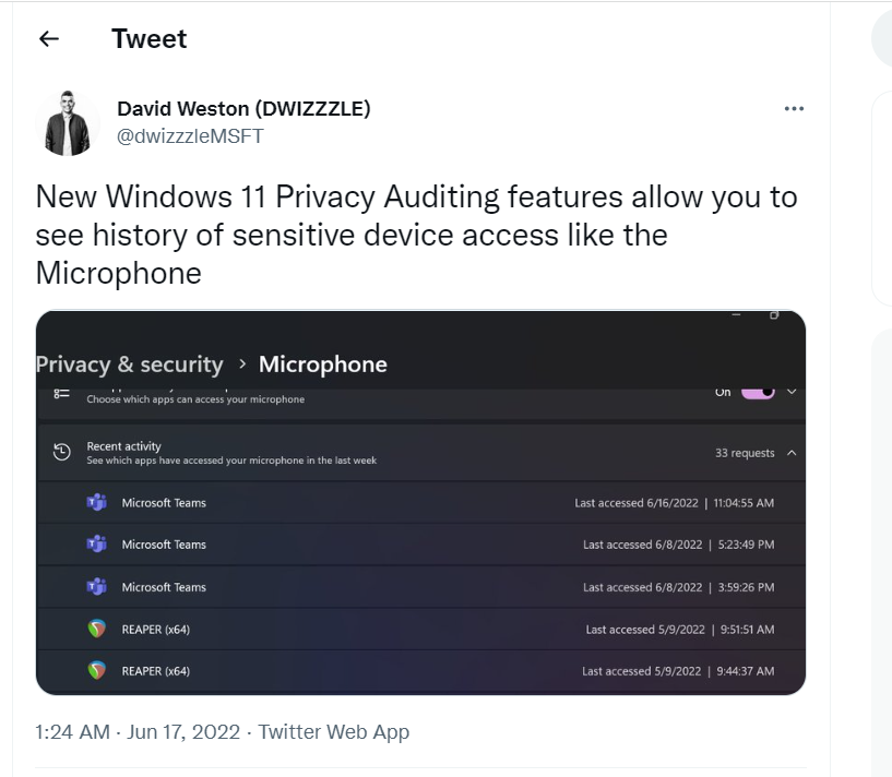 Windows 11 Privacy Auditing Feature