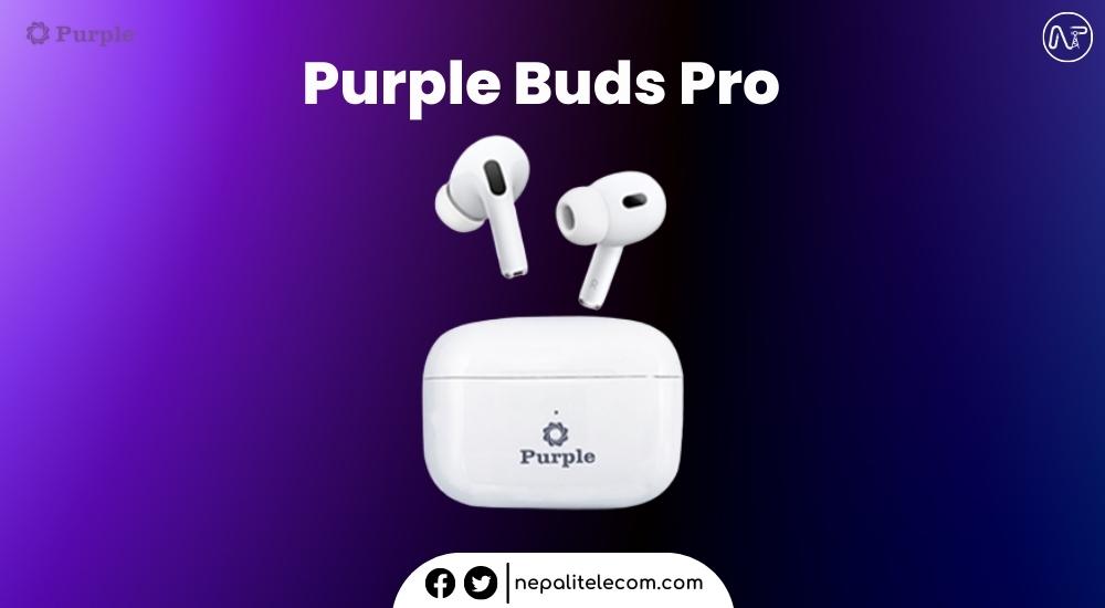 Purple Buds Pro Price in Nepal
