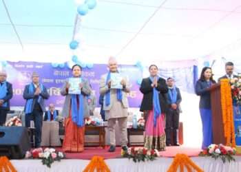 Nepal Telecom 20th Anniversary