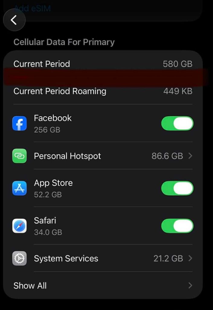 How to check mobile data usage on iPhones