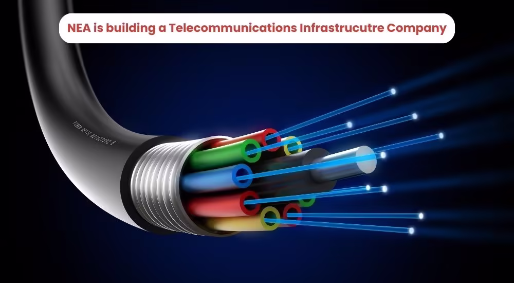 NEA brings into operation telecommunications infrastructure company