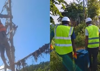 Ncell restores mobile towers in Rasuwa flood hit areas